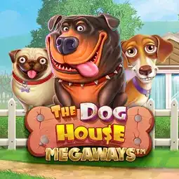 The Dog House Megaways game at Kong Casino for United Kingdom players The Dog House Megaways game at Kong Casino for United Kingdom players